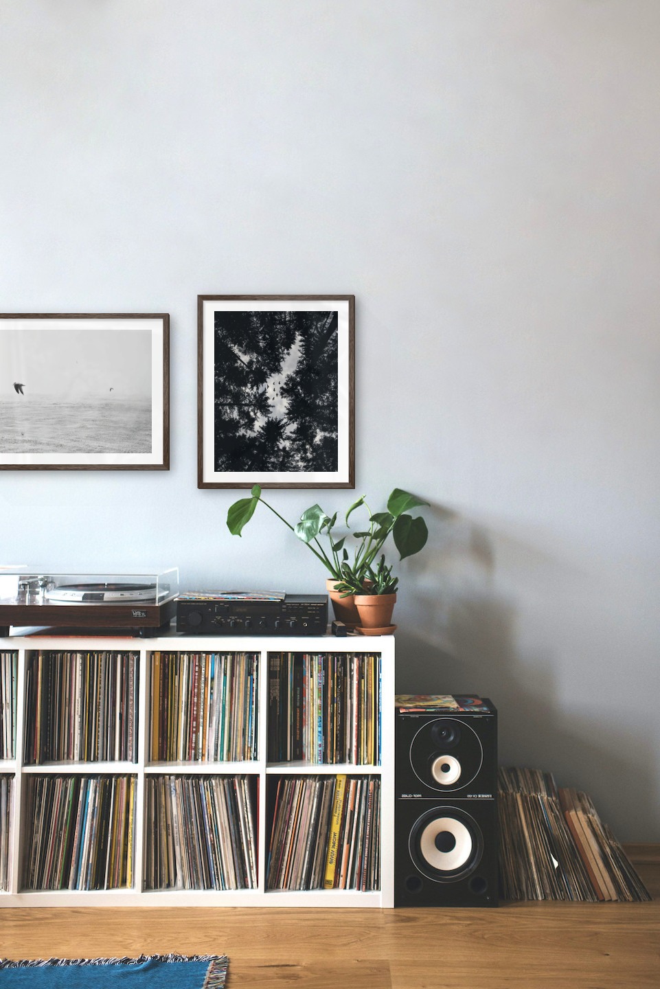 Gallery wall with picture frames in dark wood in sizes 40x50 with prints "Birds over the sea" and "Wooden tops and birds"