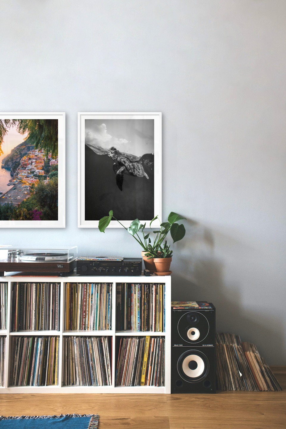 Gallery wall with picture frames in white in sizes 50x70 with prints "City by the sea" and "Turtle"
