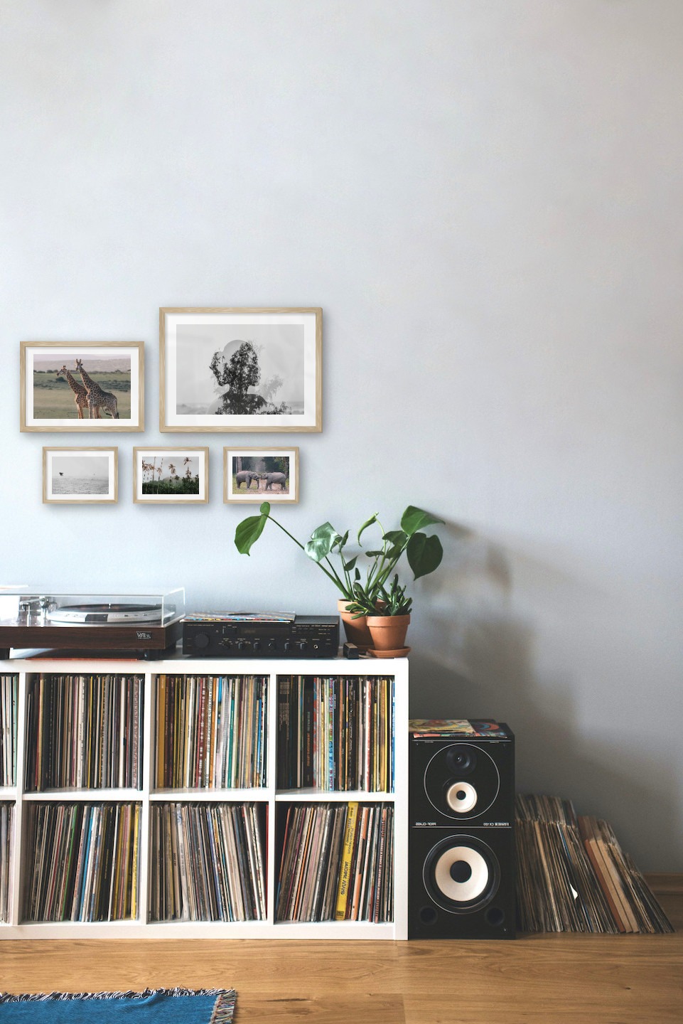 Gallery wall with picture frames in wood in sizes 21x30, 30x40 and 13x18 with prints "Two giraffes", "Trees and silhouette", "Birds over the sea", "Palm trees and mountains" and "Elephants"