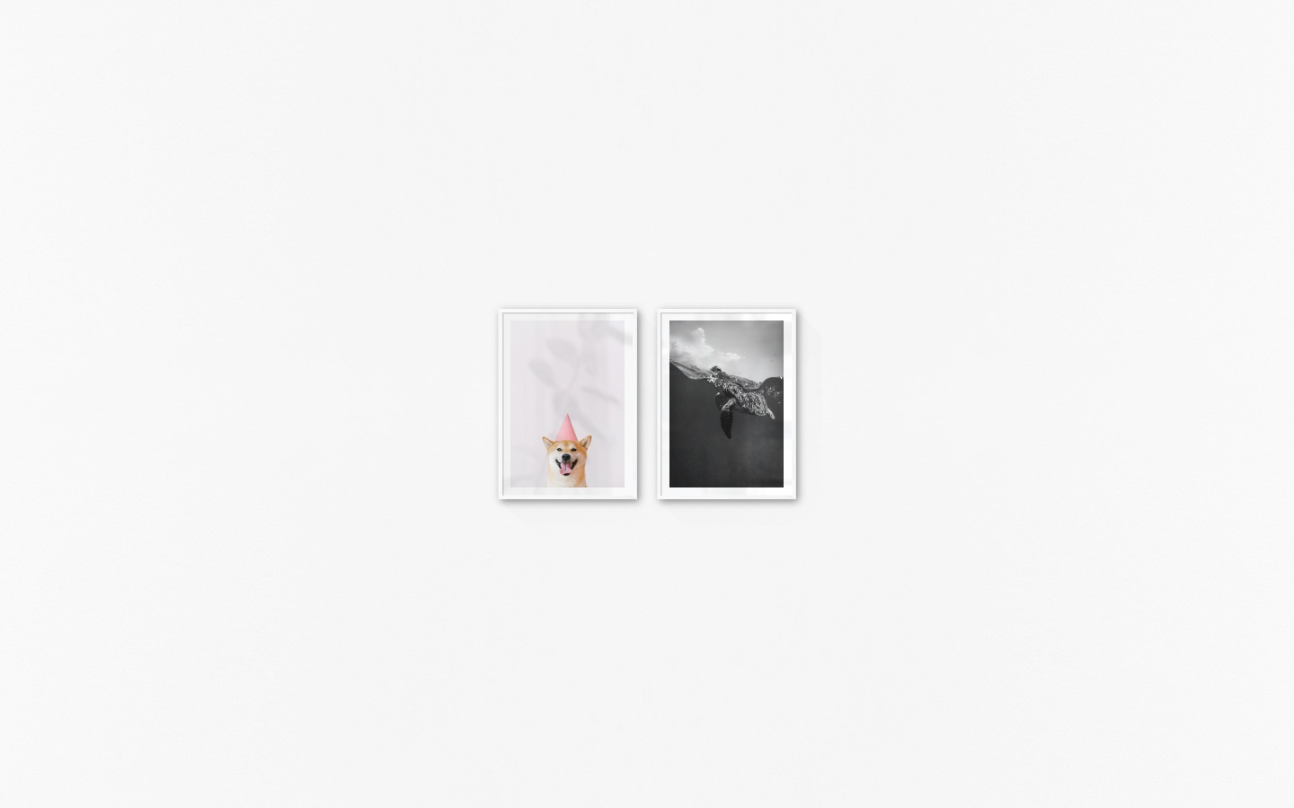 Gallery wall with picture frames in white in sizes 50x70 with prints "Dog with pink hat" and "Turtle"