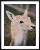 Gallery wall with picture frame in black in size 40x50 with print "Deer"