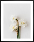 Gallery wall with picture frame in black in size 40x50 with print "White flowers"