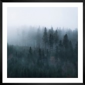 Gallery wall with picture frame in black in size 50x50 with print "Foggy forest"