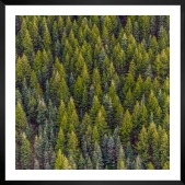Gallery wall with picture frame in black in size 50x50 with print "Trees from above"