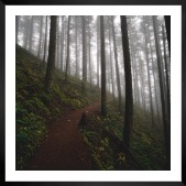 Gallery wall with picture frame in black in size 50x50 with print "Forest road"