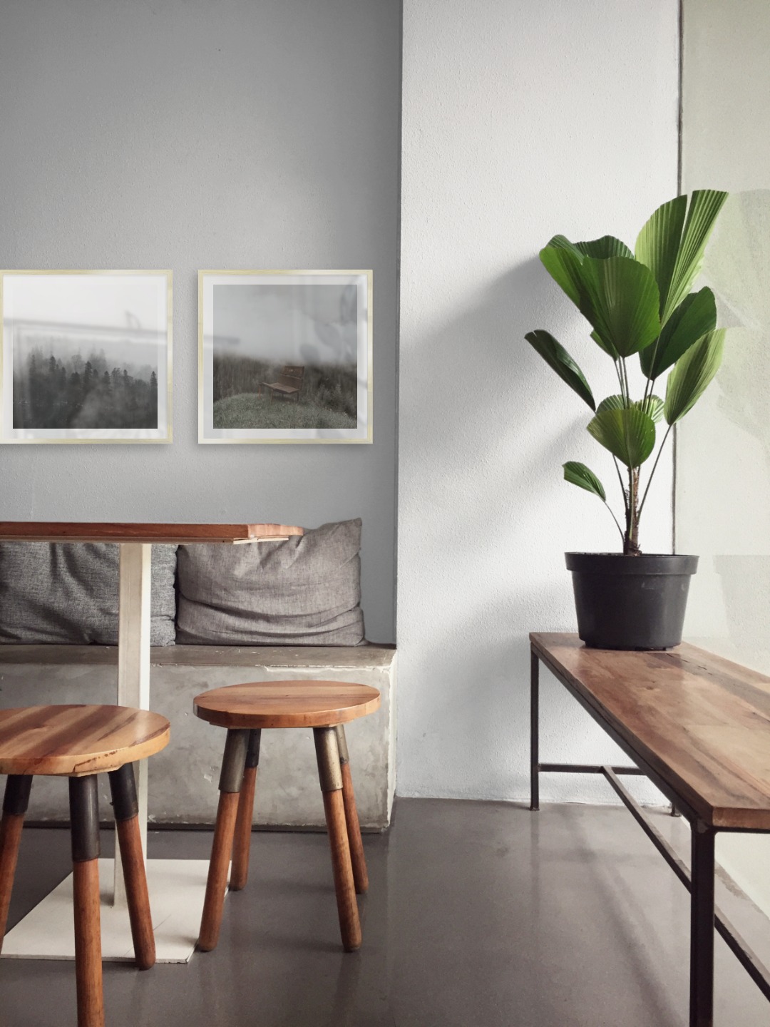 Gallery wall with picture frames in gold in sizes 50x50 with prints "Foggy wooden tops" and "Bench in misty nature"