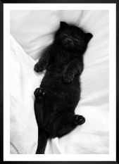 Gallery wall with picture frame in black in size 50x70 with print "Cat in bed"