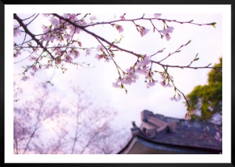 Gallery wall with picture frame in black in size 70x100 with print "Flowers in Tokyo"