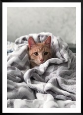 Gallery wall with picture frame in black in size 50x70 with print "Cat in felt"