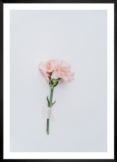Gallery wall with picture frame in black in size 50x70 with print "Pink flower"