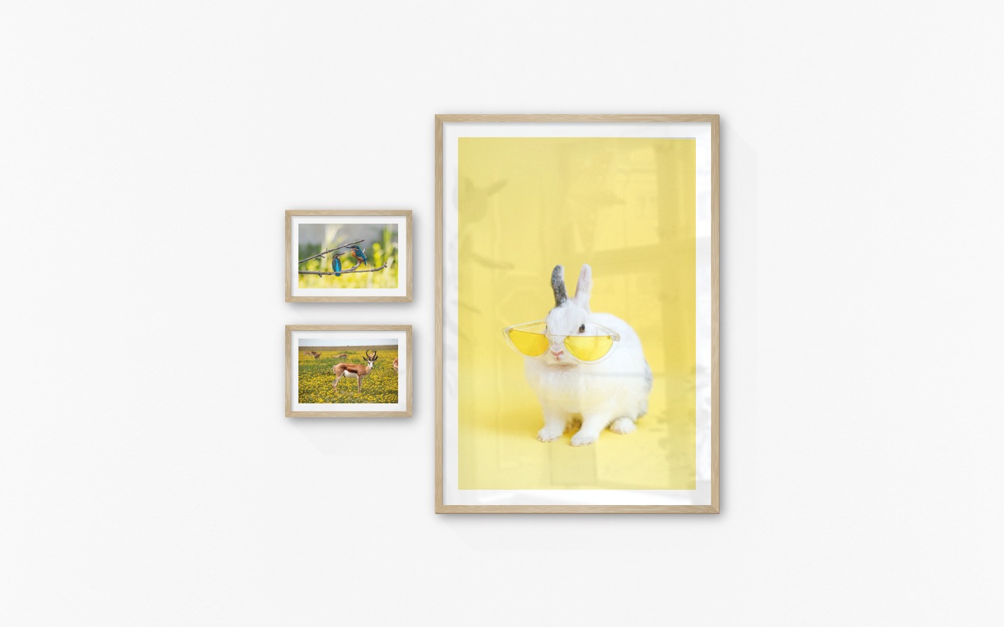 Gallery wall with picture frames in wood in sizes 21x30 and 70x100 with prints "Hummingbirds", "Antelopes in meadow" and "Rabbit with glasses"