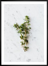 Gallery wall with picture frame in black in size 50x70 with print "Herbs"