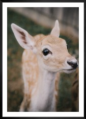 Gallery wall with picture frame in black in size 50x70 with print "Deer"