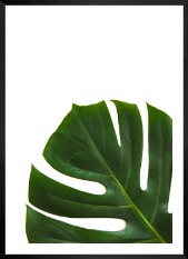Gallery wall with picture frame in black in size 50x70 with print "Plant"
