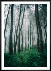 Gallery wall with picture frame in black in size 50x70 with print "Tall trees"