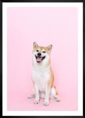 Gallery wall with picture frame in black in size 50x70 with print "Dog"