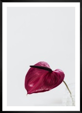 Gallery wall with picture frame in black in size 50x70 with print "Red flower"