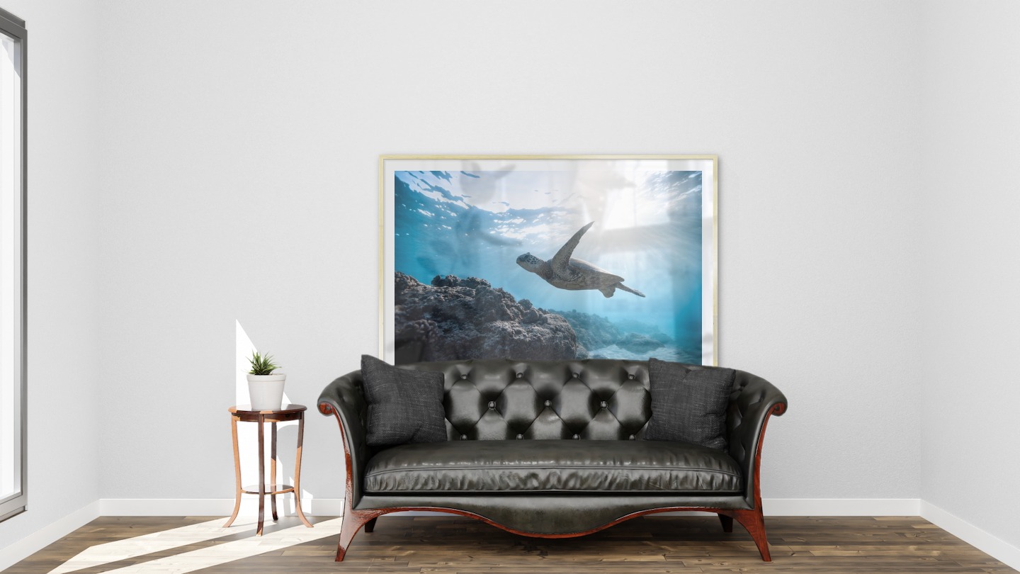 Gallery wall with picture frame in gold in size 100x150 with print "Turtle in the water"