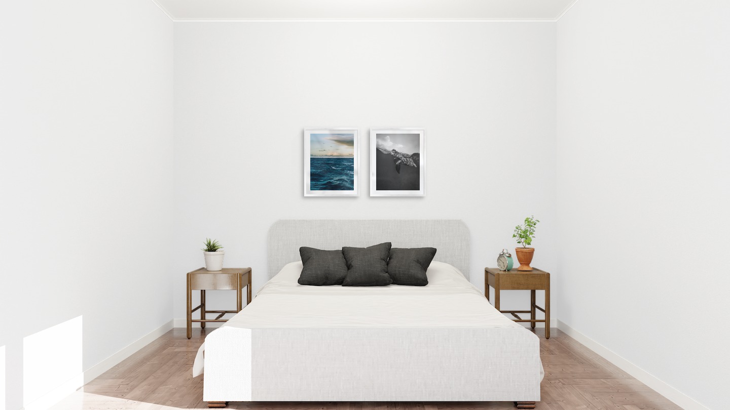 Gallery wall with picture frames in silver in sizes 40x50 with prints "Somewhat out at sea" and "Turtle"