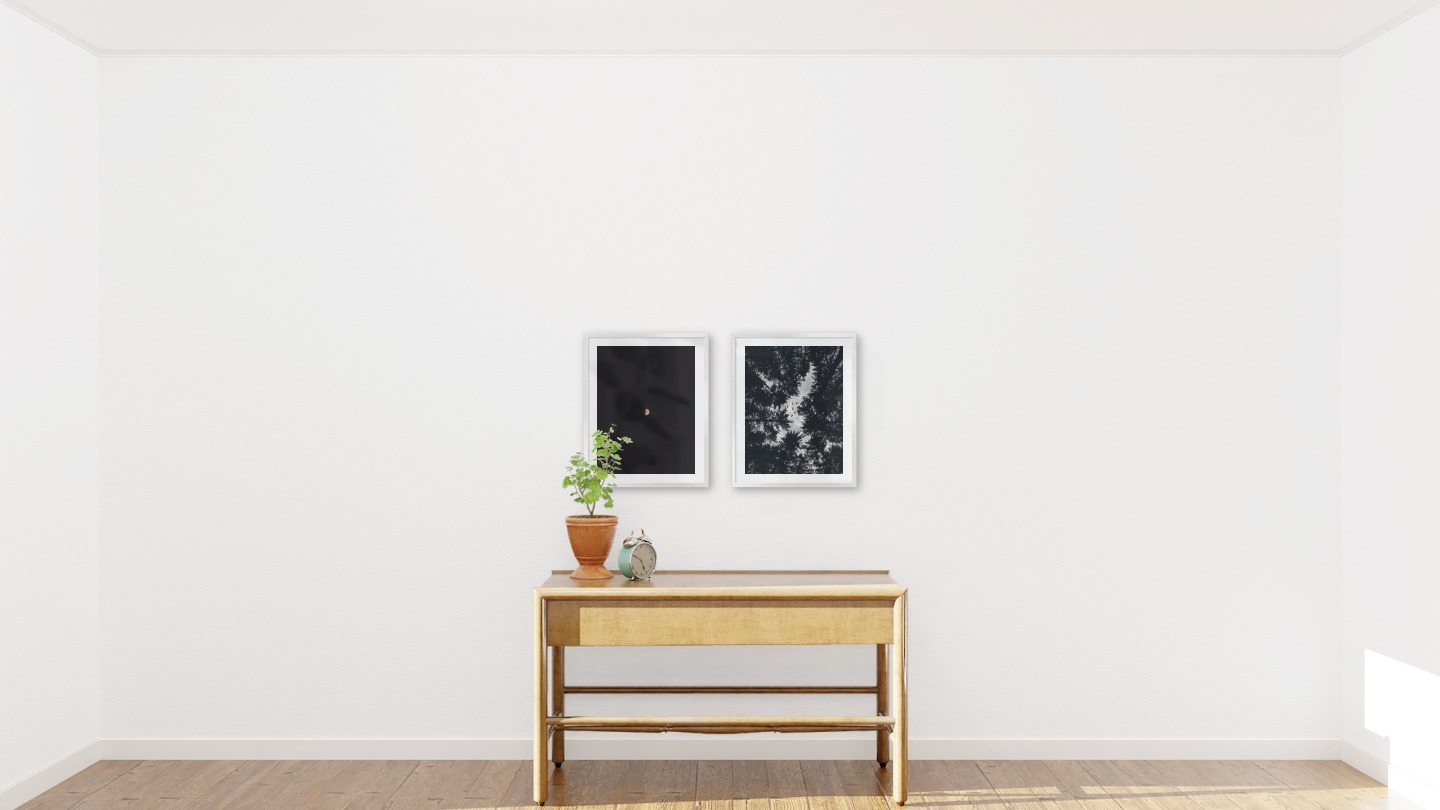 Gallery wall with picture frames in silver in sizes 40x50 with prints "The moon" and "Wooden tops and birds"