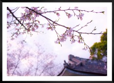 Gallery wall with picture frame in black in size 50x70 with print "Flowers in Tokyo"