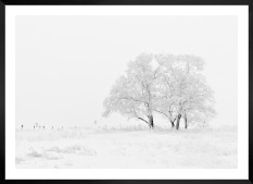 Gallery wall with picture frame in black in size 50x70 with print "Snowy tree"